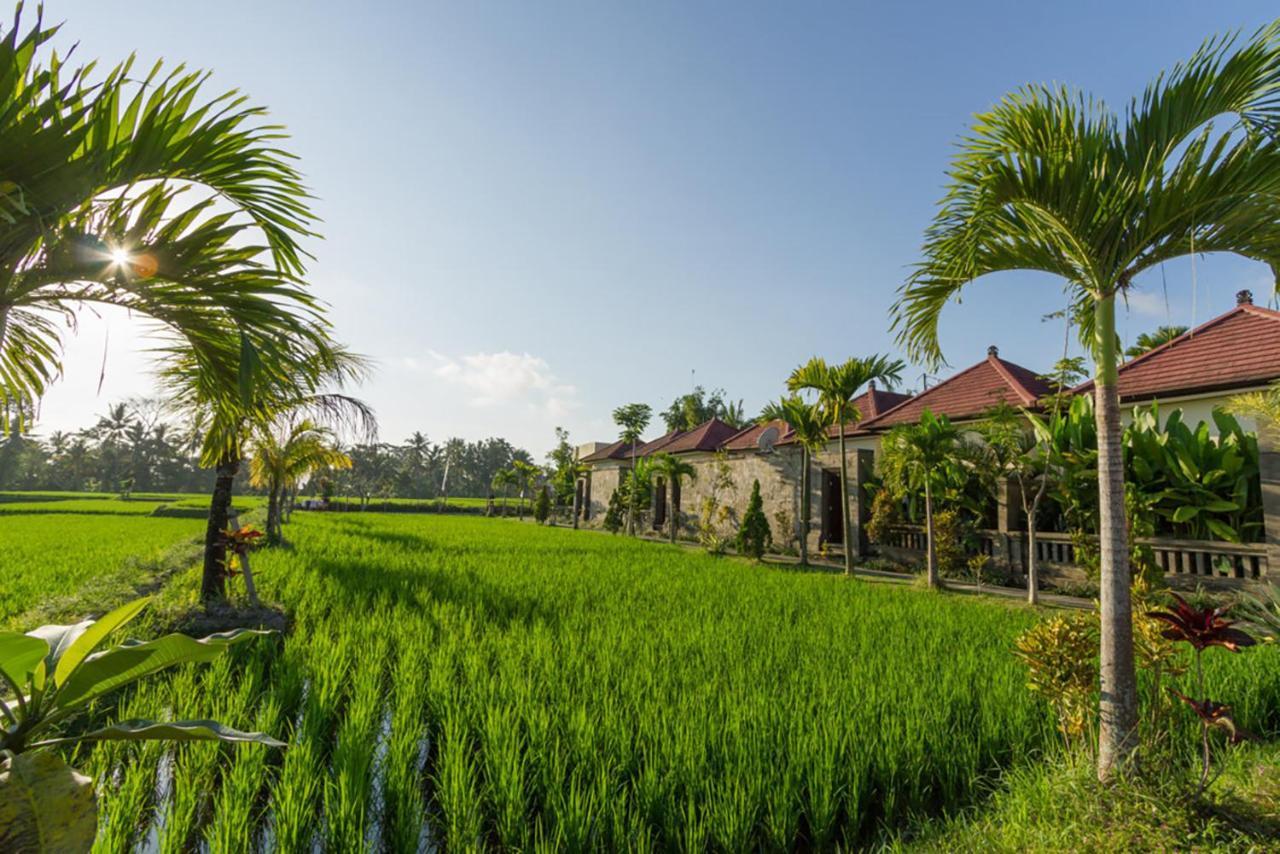 De Sawah Satoe Villa And Resort Ubud Zewnętrze zdjęcie
