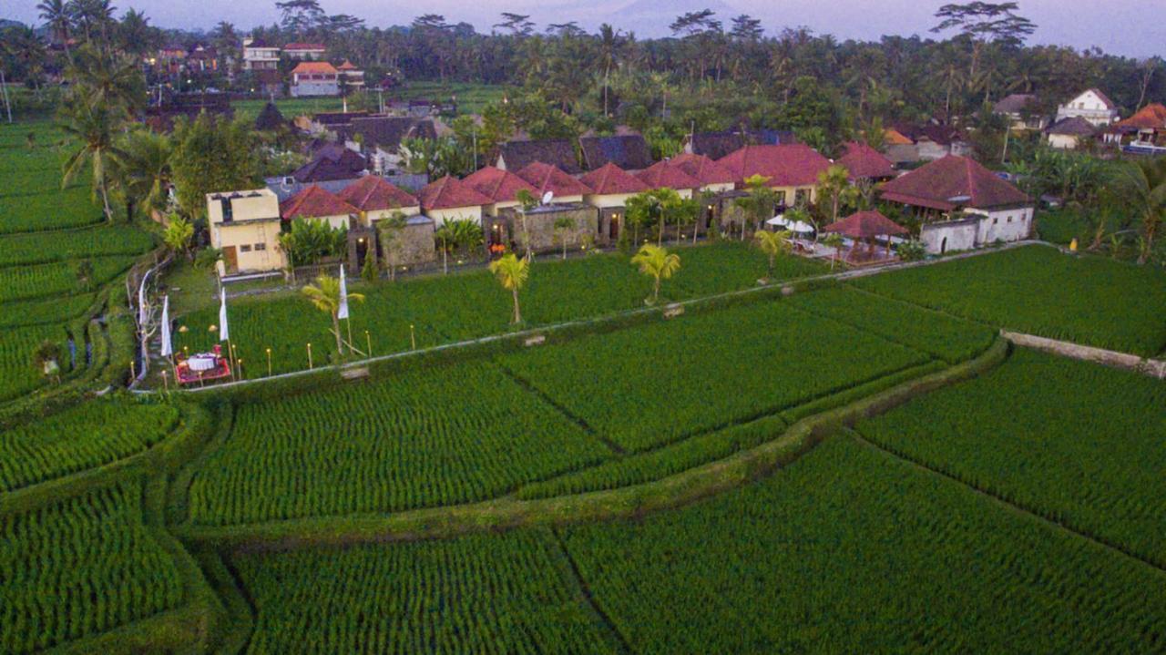 De Sawah Satoe Villa And Resort Ubud Zewnętrze zdjęcie