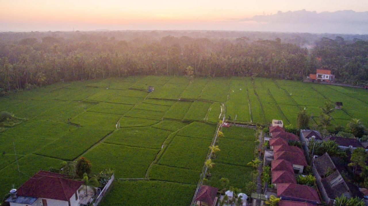 De Sawah Satoe Villa And Resort Ubud Zewnętrze zdjęcie