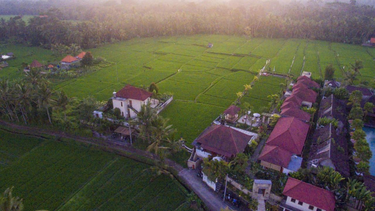 De Sawah Satoe Villa And Resort Ubud Zewnętrze zdjęcie