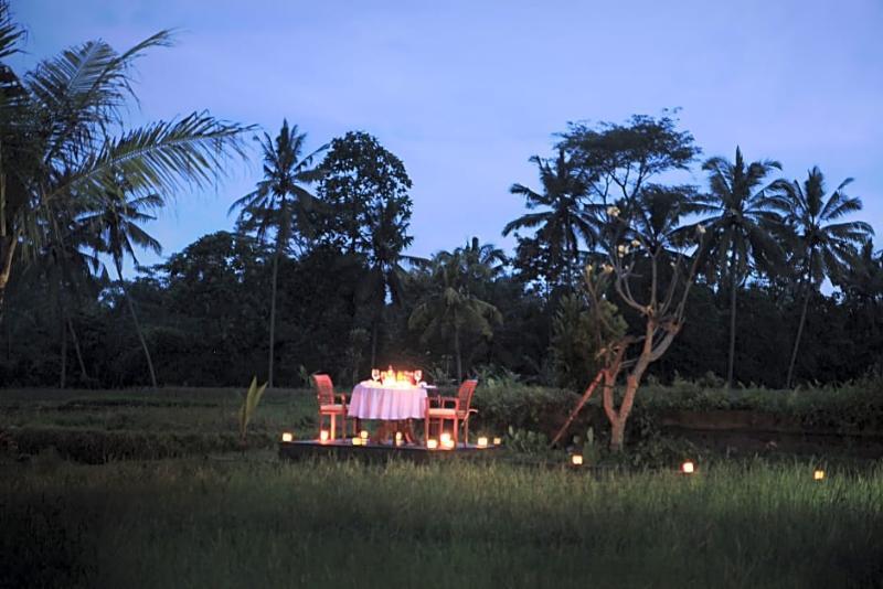 De Sawah Satoe Villa And Resort Ubud Zewnętrze zdjęcie